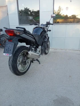 Honda Cbf 600 | Mobile.bg    7