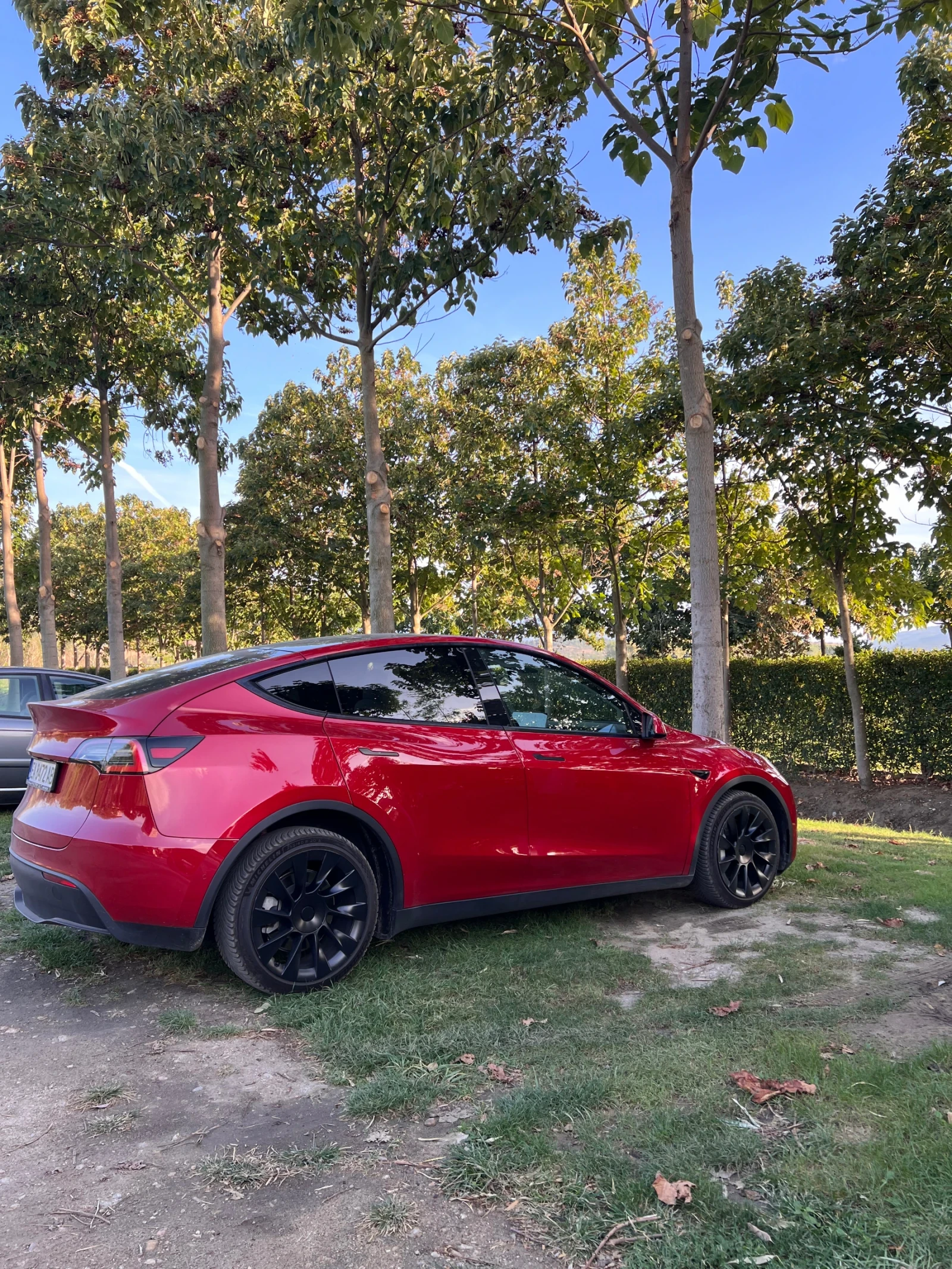 Tesla Model Y Long Range AWD, снимка 13 - Автомобили и джипове - 55531577