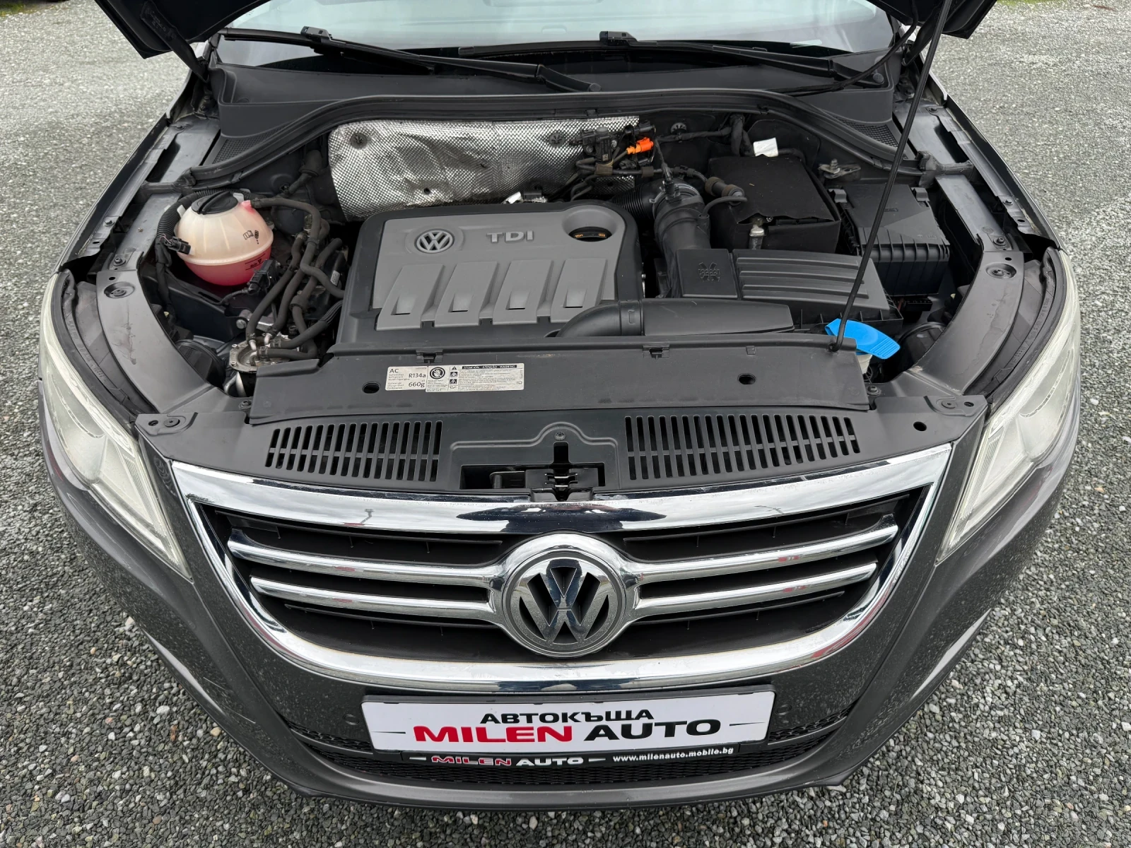 VW Tiguan (KATO ����)^(4x4) | Mobile.bg � ����������� 17