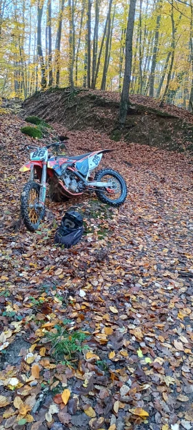 Ktm SX-F | Mobile.bg    2
