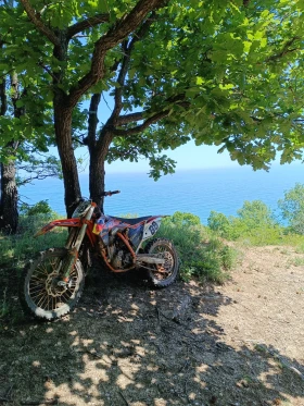 Ktm SX-F | Mobile.bg    12