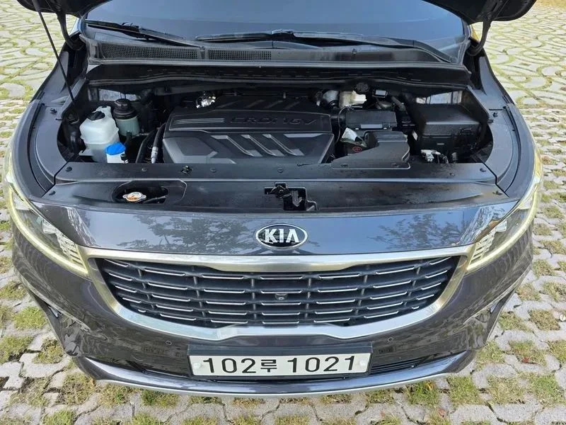 Kia Carnival, снимка 6 - Автомобили и джипове - 56689502