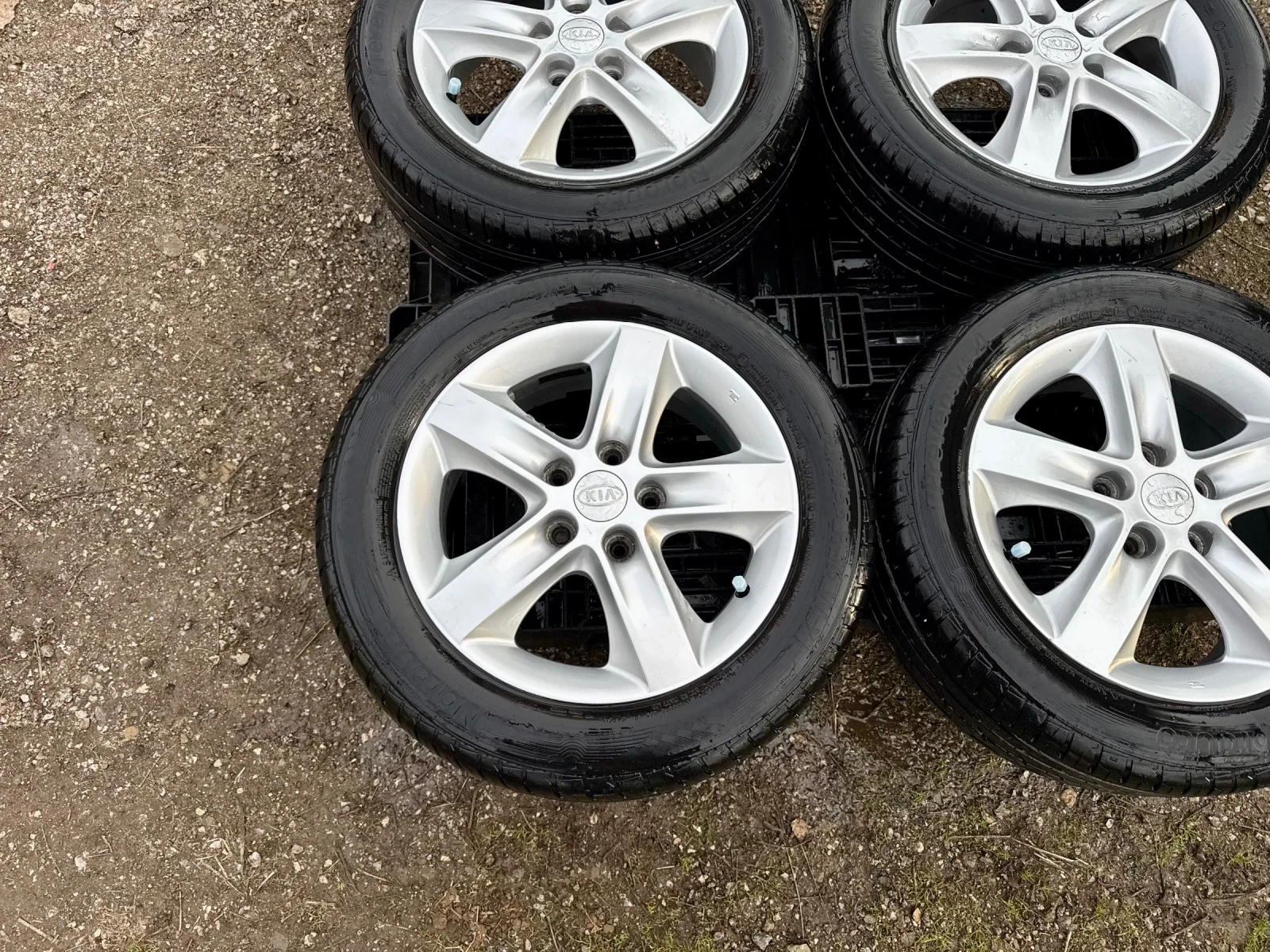 ���� � ������ 205/55R16 �� Kia Ceed | Mobile.bg � ����������� 5