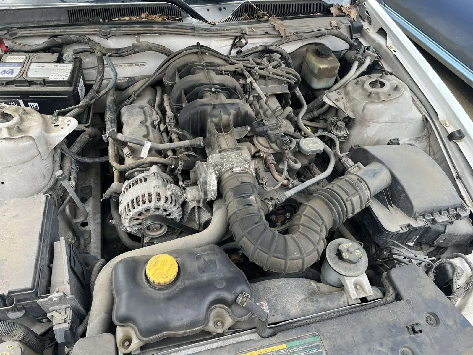 Ford Mustang, снимка 12 - Автомобили и джипове - 51610043