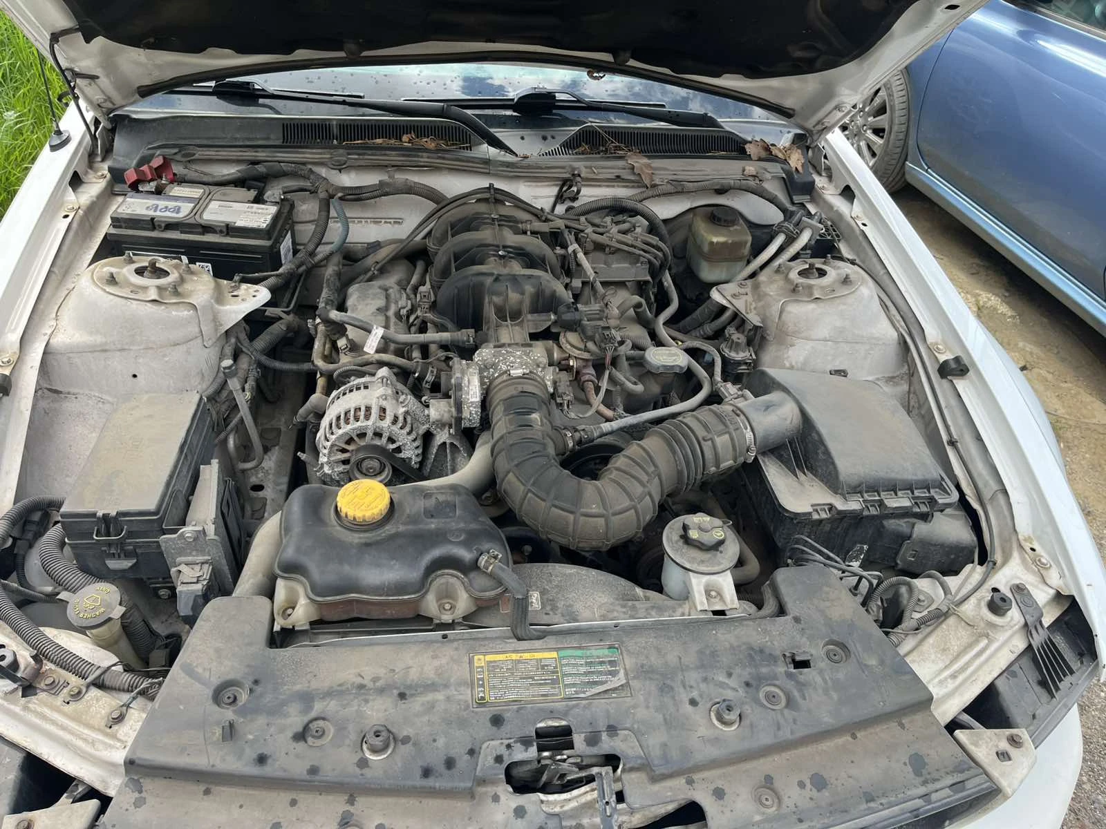 Ford Mustang, снимка 11 - Автомобили и джипове - 51610043