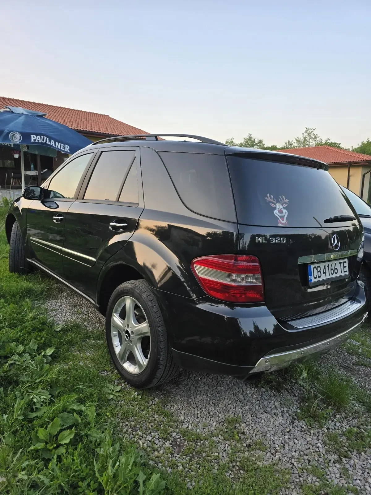Mercedes-Benz ML 320  - изображение 4