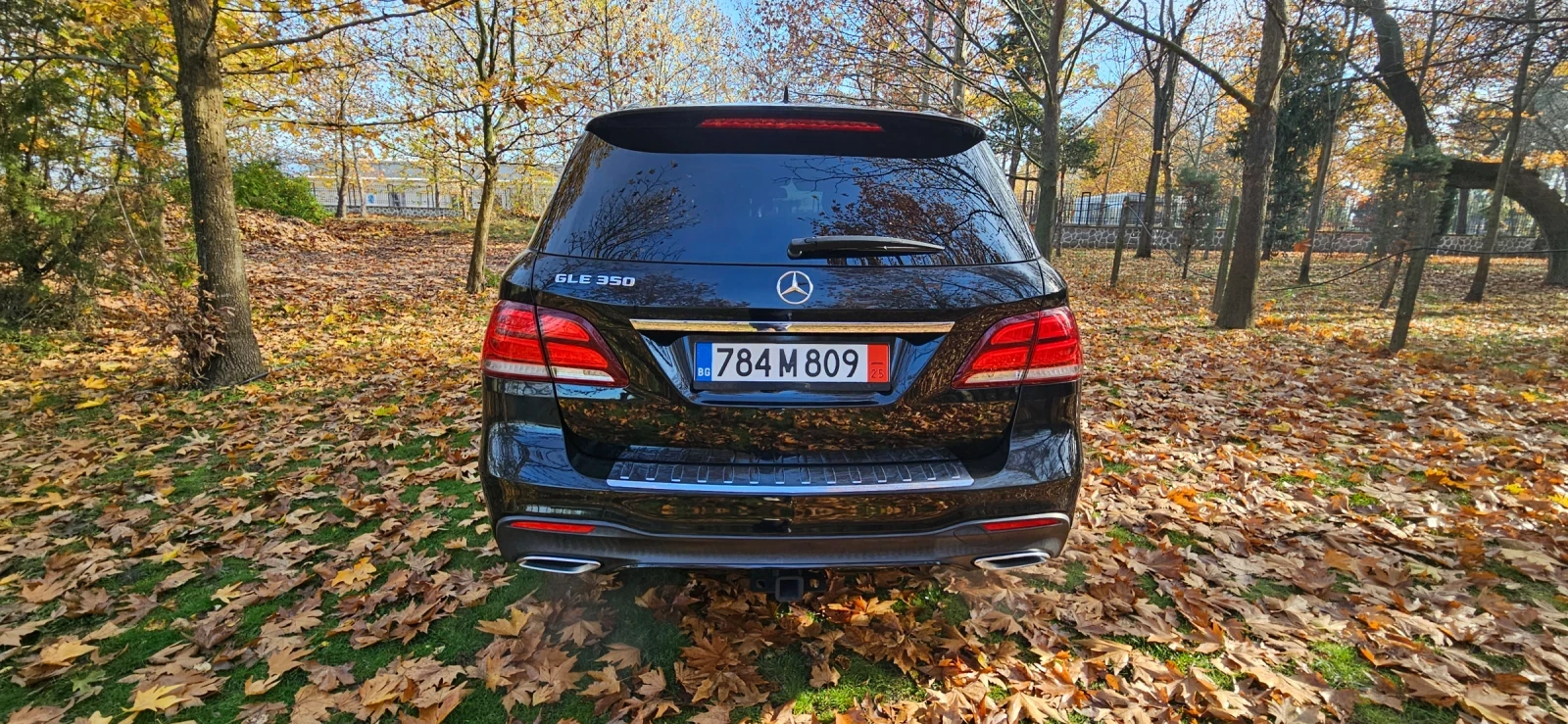 Mercedes-Benz GLE 350  - изображение 5