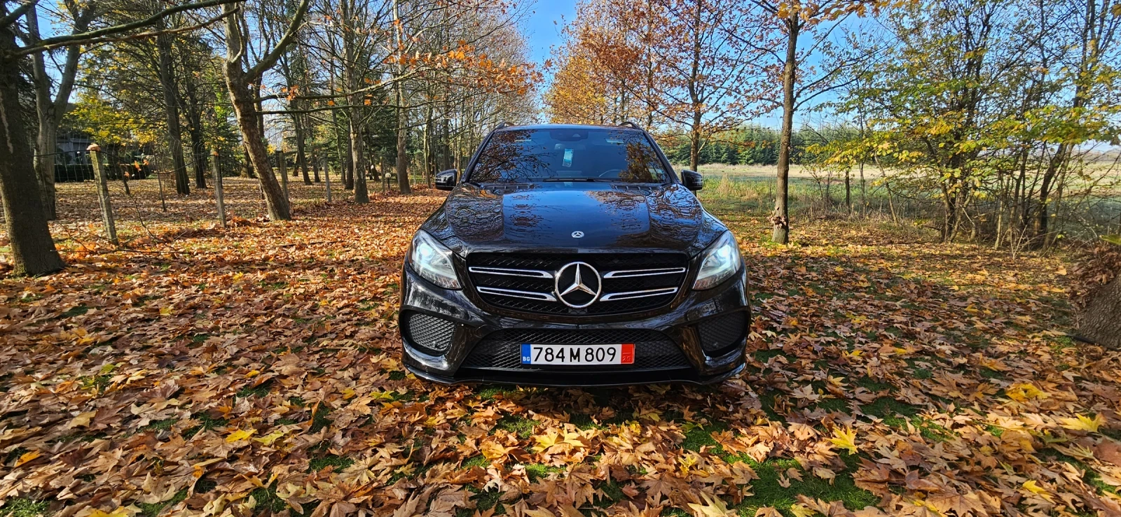 Mercedes-Benz GLE 350  - изображение 3