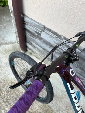 ��������� Drag c1 fun | Mobile.bg � ����� ������ 8