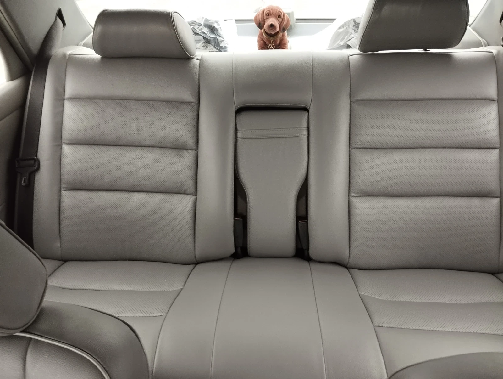 Mercedes-Benz 560 SEL | Mobile.bg � ����������� 14