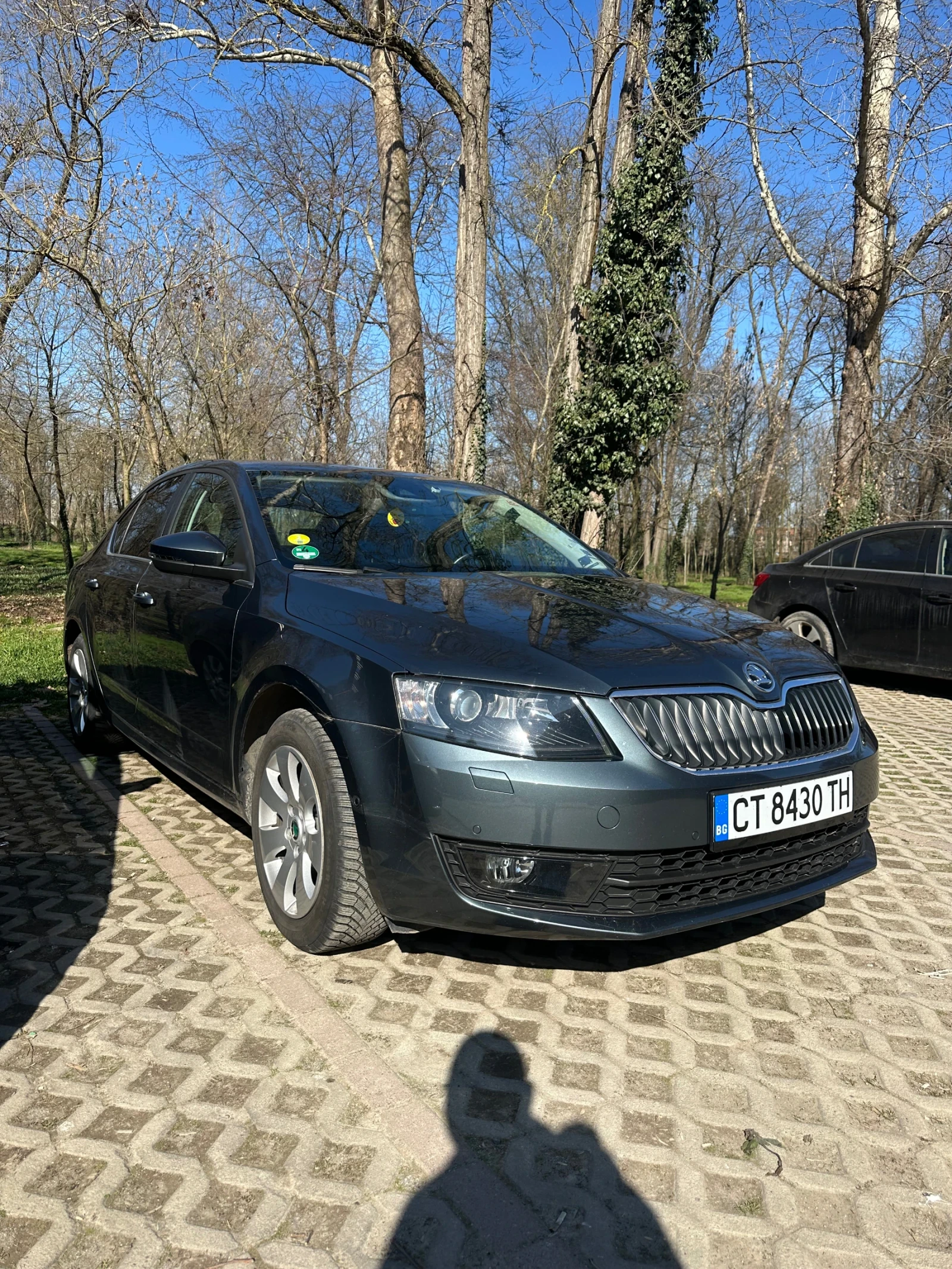 Skoda Octavia, снимка 4 - Автомобили и джипове - 54409072