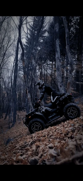 Polaris Sportsman 1000, снимка 4