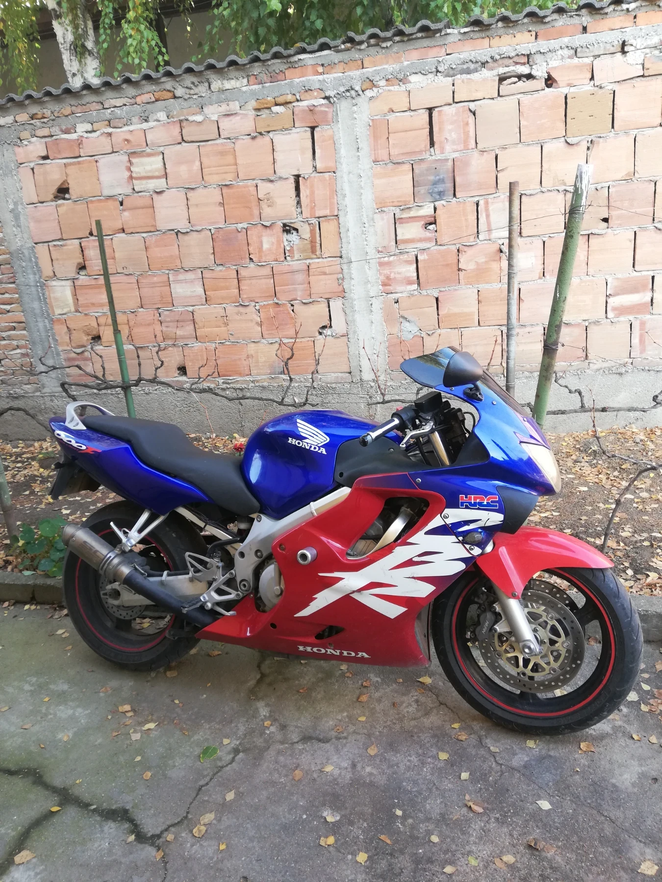 Honda Cbr  - изображение 2