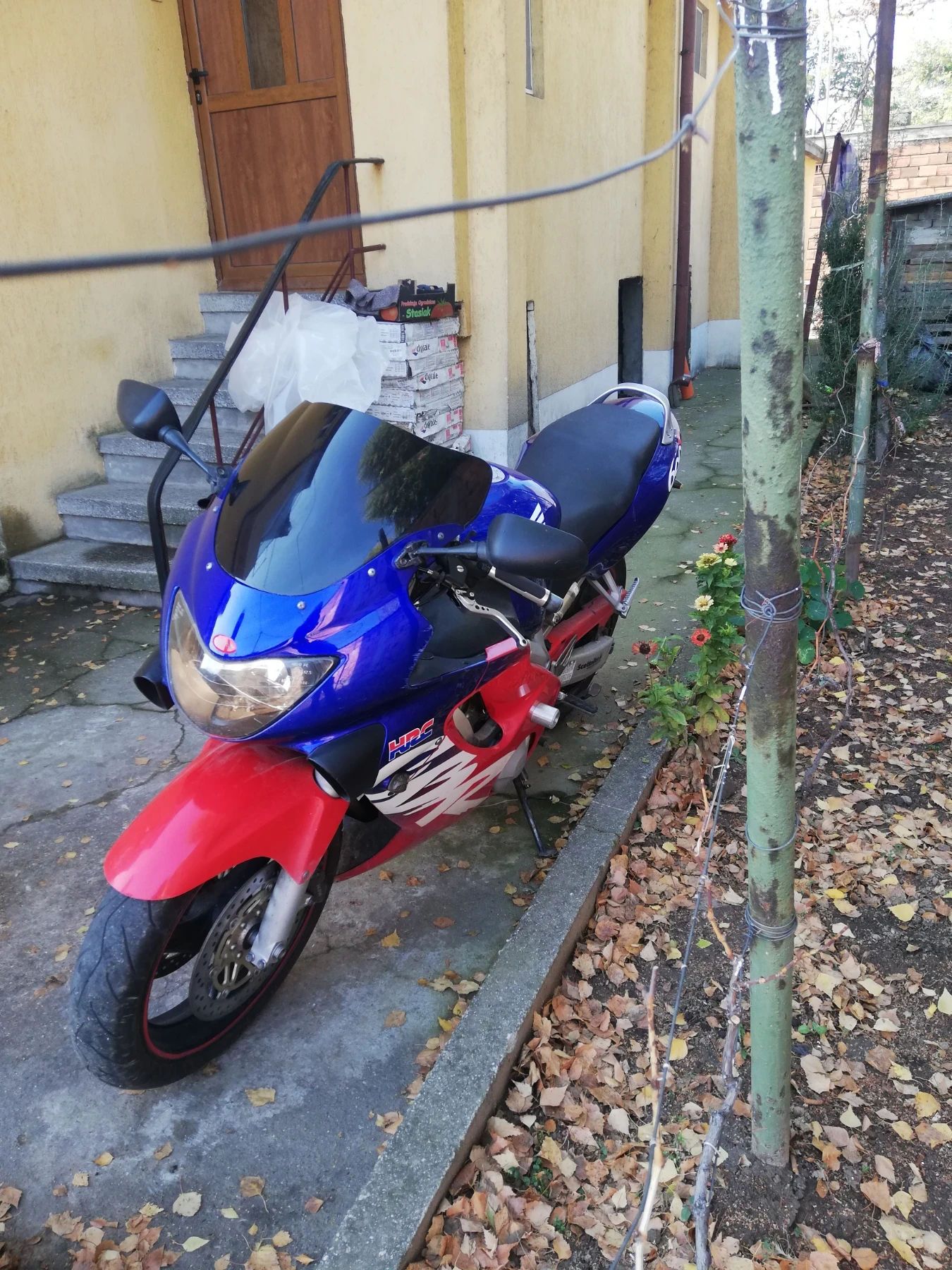 Honda Cbr  - изображение 4
