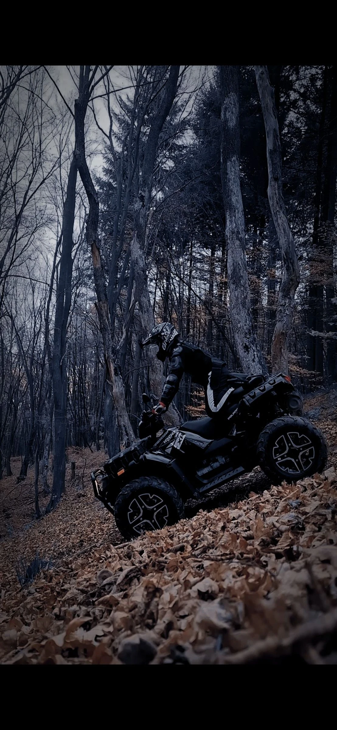 Polaris Sportsman 1000 - изображение 4