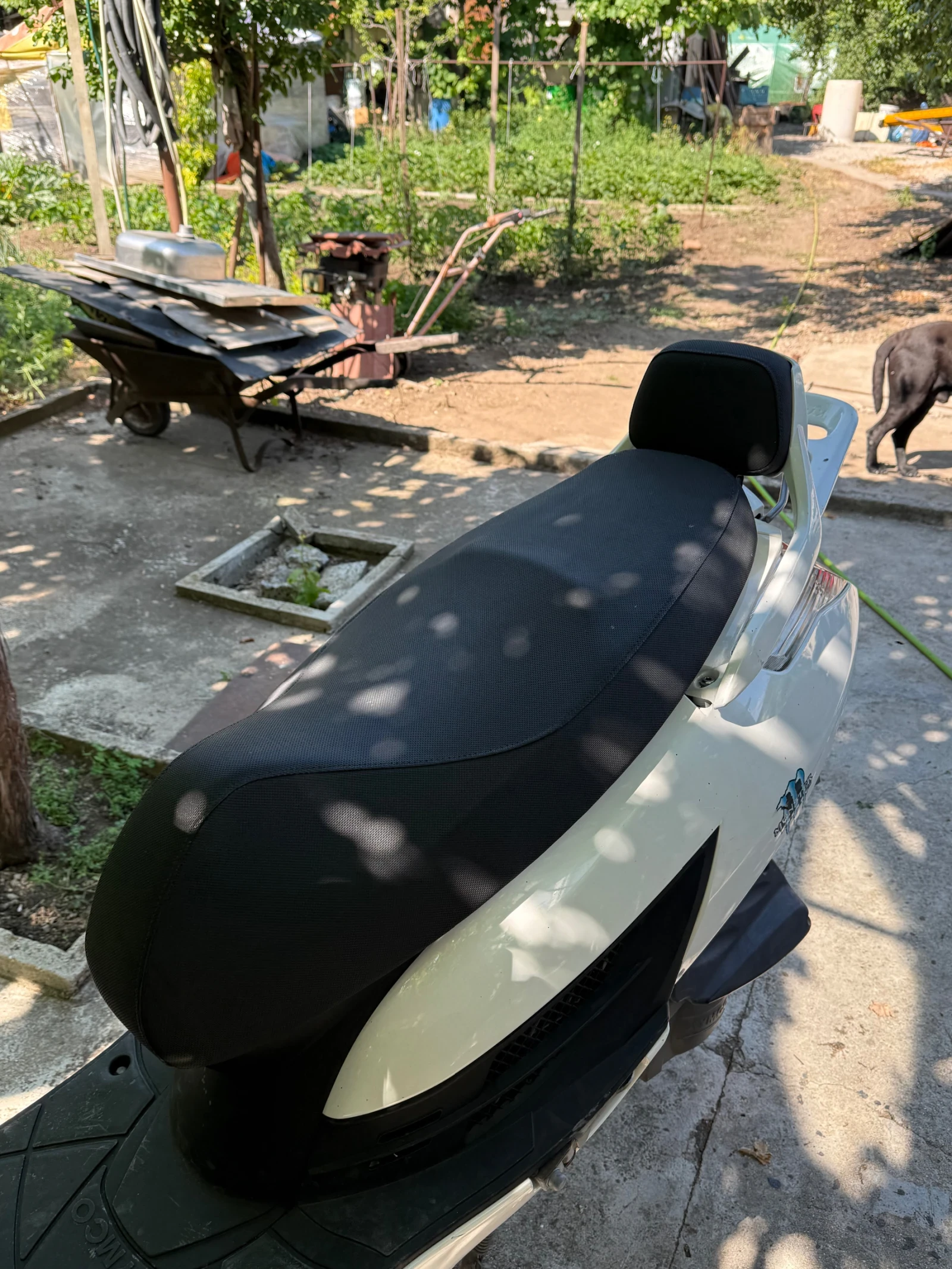 Kymco Dink 49cc, снимка 5 - Мотоциклети и мототехника - 55239414