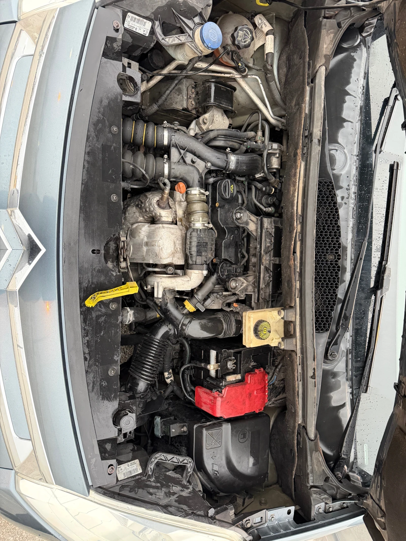 Citroen Berlingo 1.6HDI | Mobile.bg � ����������� 8