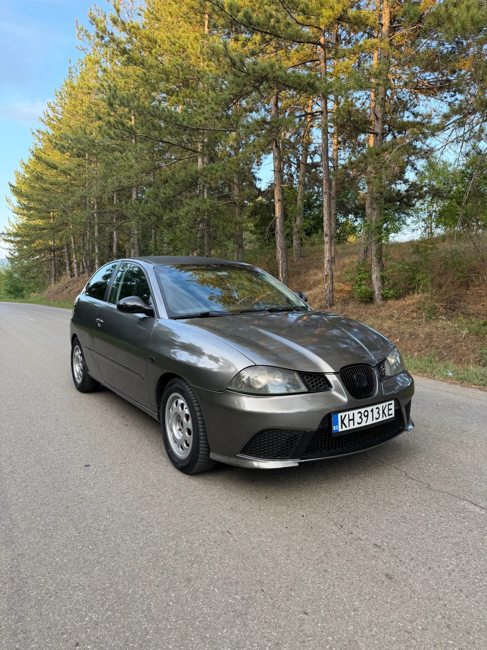 Seat Ibiza, снимка 2 - Автомобили и джипове - 55596031