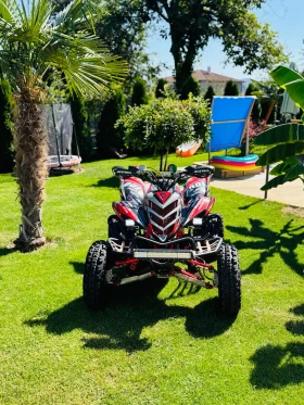  Yamaha Raptor