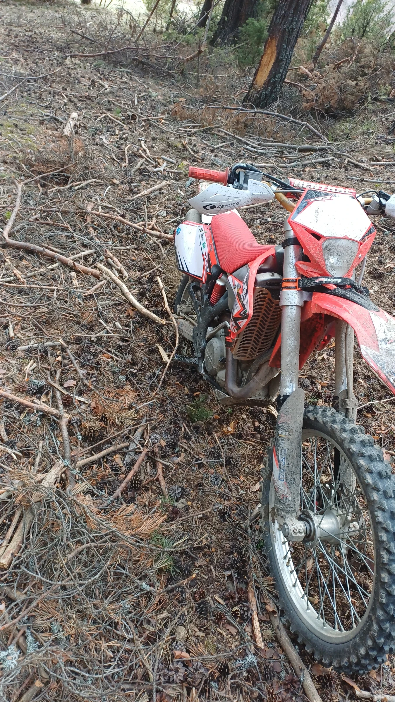 Beta Rr | Mobile.bg � ����������� 2