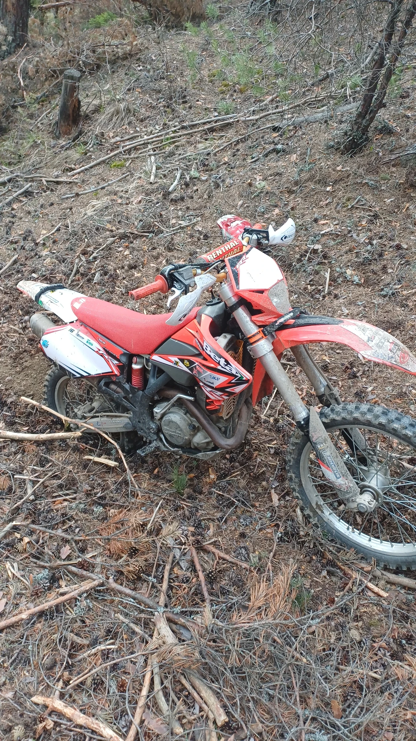 Beta Rr | Mobile.bg � ����������� 6