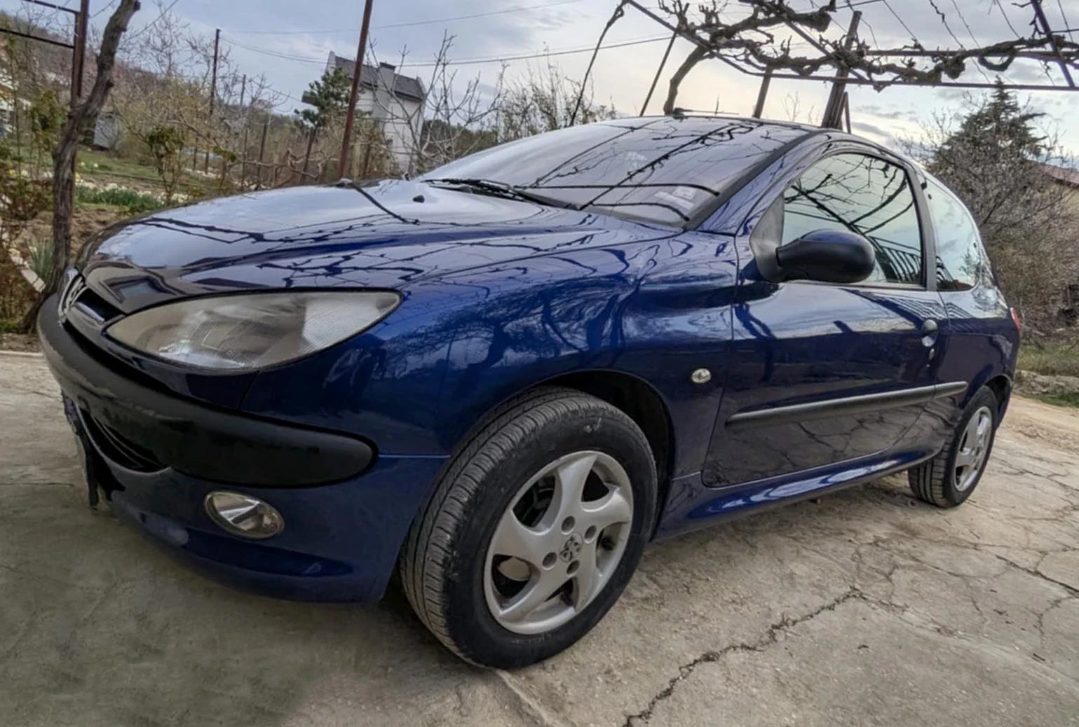 Peugeot 206 1.4HDI - изображение 3
