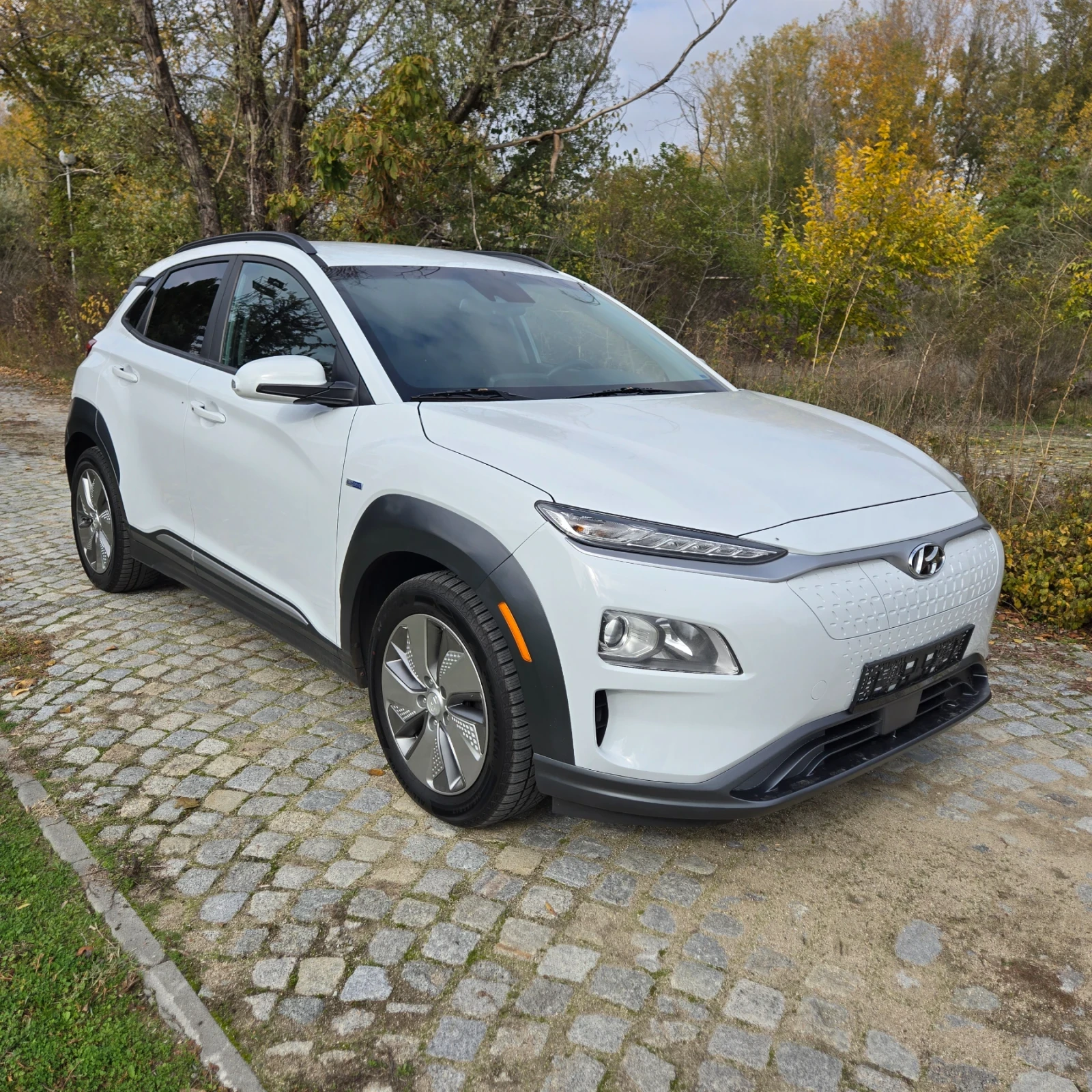 Hyundai Kona 64KWh, BLUE-DRIVE  | Mobile.bg   1