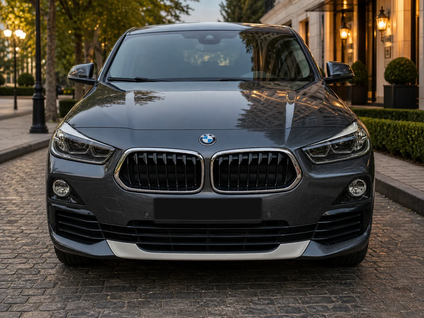 BMW X2, снимка 6 - Автомобили и джипове - 54418094