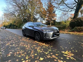     Lexus UX 250h