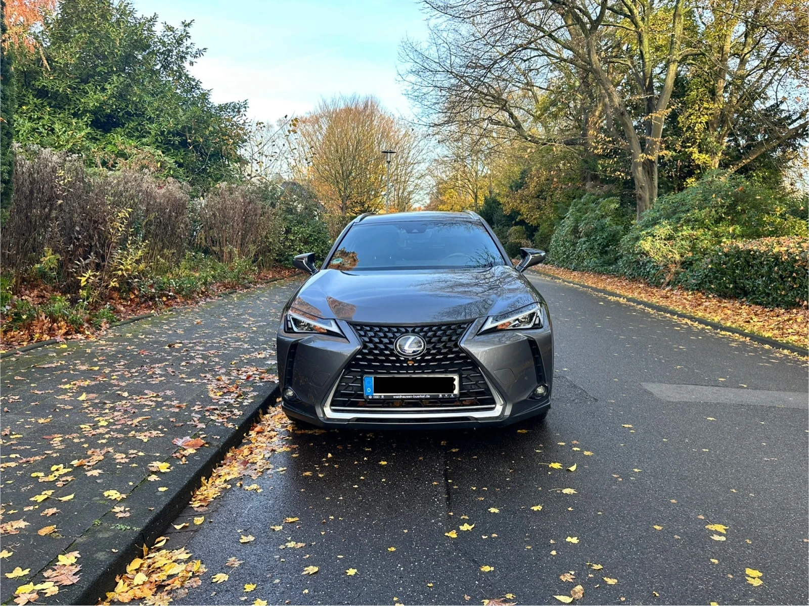Lexus UX 250h | Mobile.bg   3