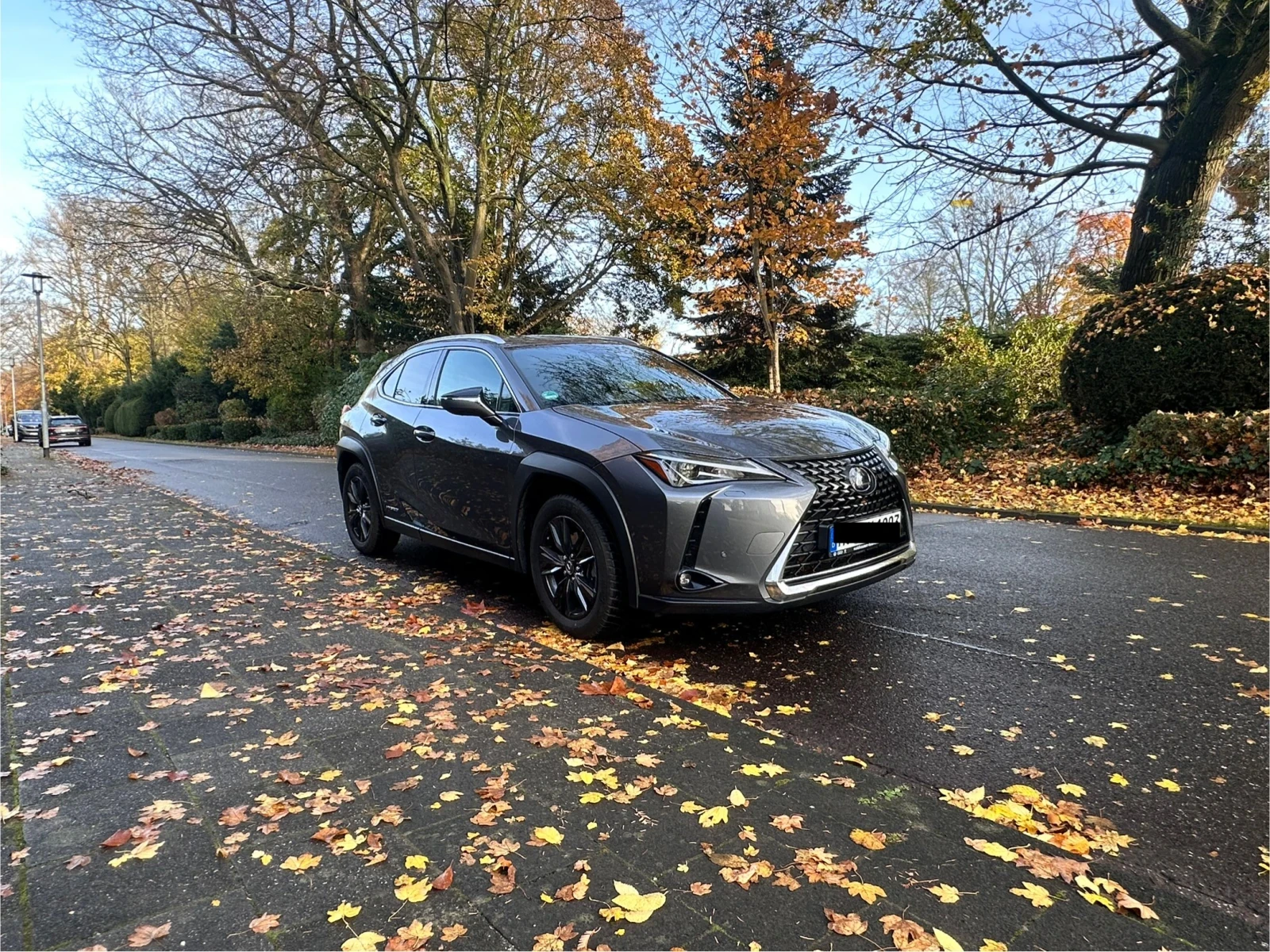 Lexus UX 250h | Mobile.bg   1