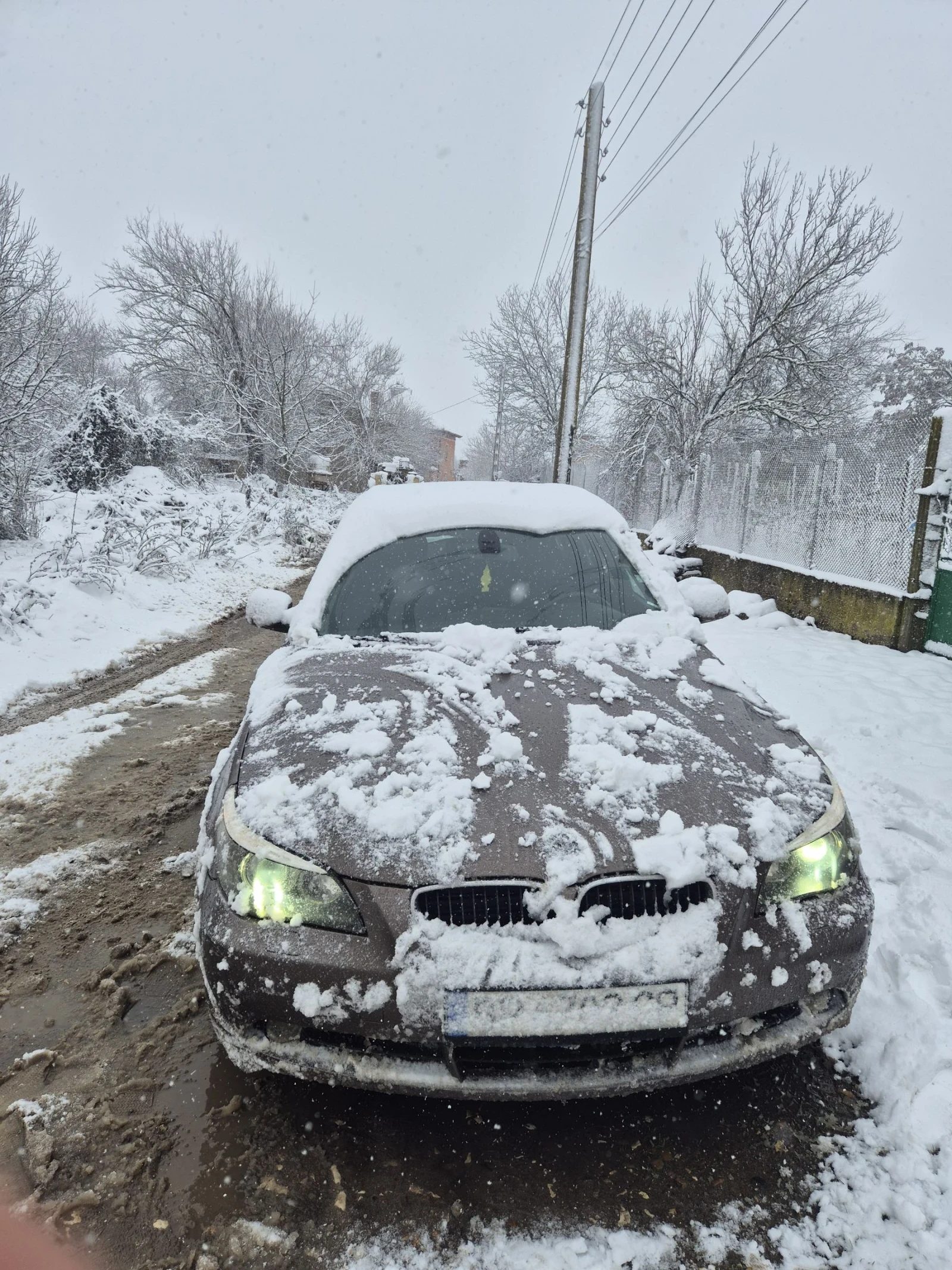 BMW 525 | Mobile.bg � ����������� 5