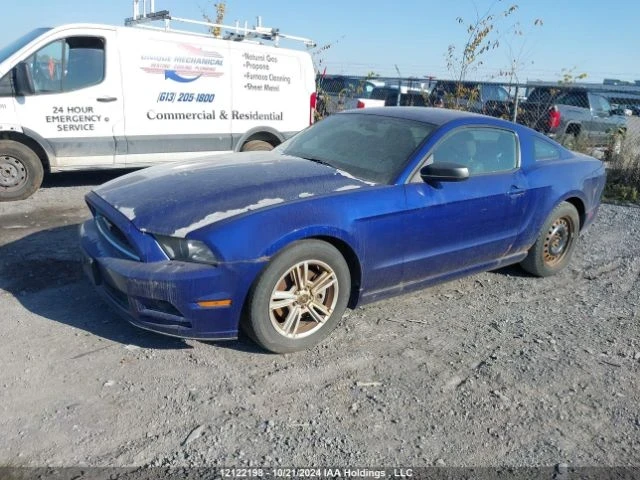 Ford Mustang 3700 | Mobile.bg   12