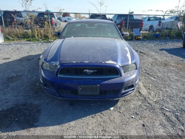 Ford Mustang 3700 | Mobile.bg   1