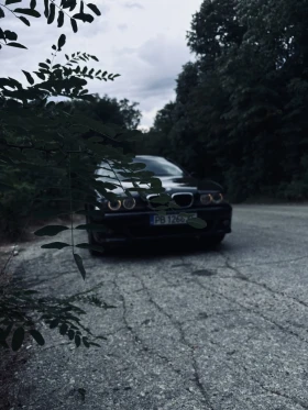 BMW 523, снимка 2