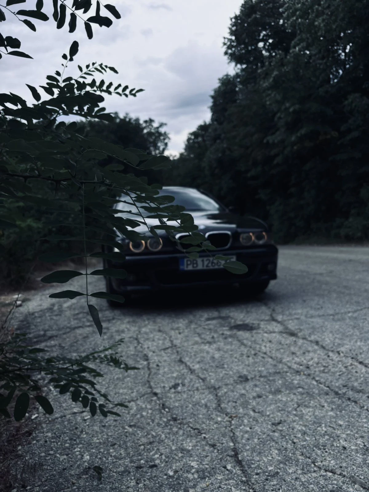 BMW 523, снимка 2 - Автомобили и джипове - 55791871
