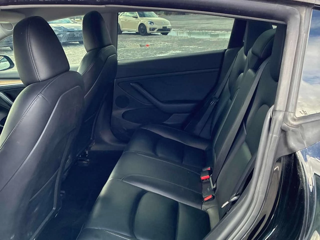 Tesla Model 3 * RWD * CARFAX * ����������� *  | Mobile.bg � ����������� 17