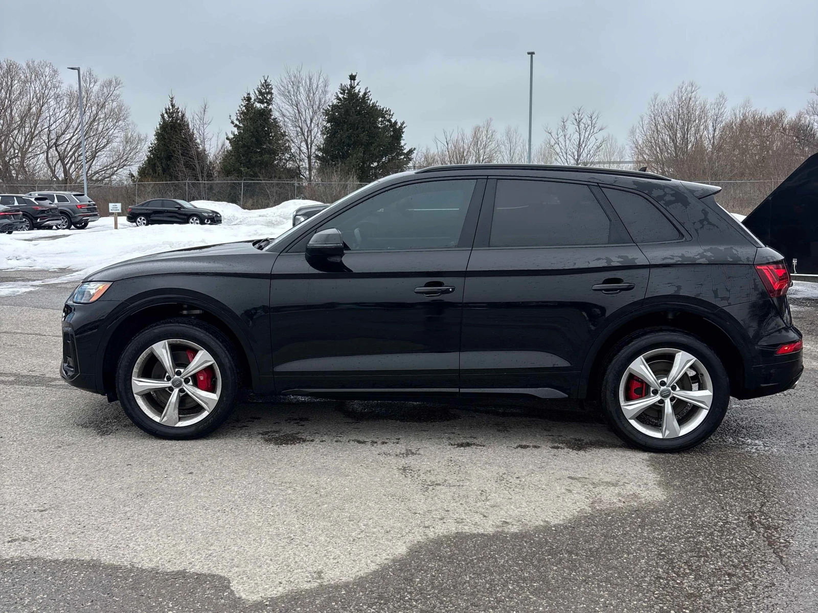 Audi SQ5 PROGRESSIV * * CARFAX * * АВТО КРЕДИТ * * , снимка 3 - Автомобили и джипове - 53940932