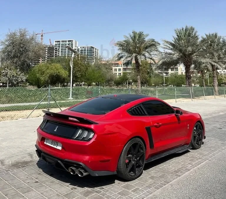 Ford Mustang GT 5.0 V8 | Shelby Body Kit - изображение 3