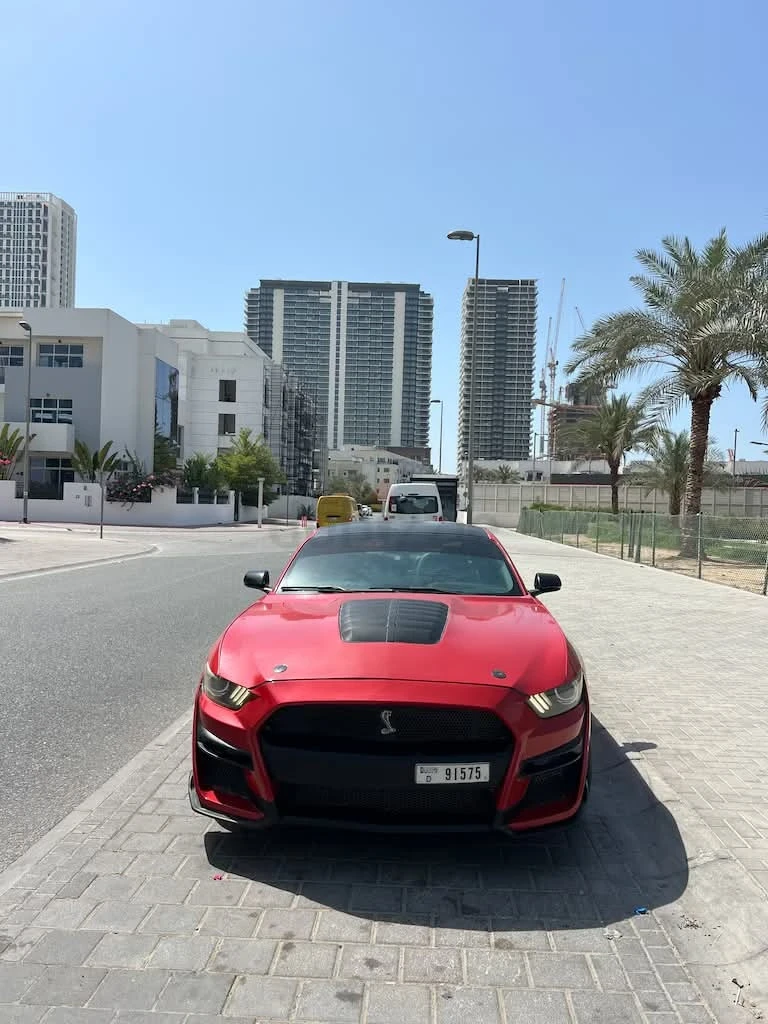 Ford Mustang GT 5.0 V8 | Shelby Body Kit - изображение 2