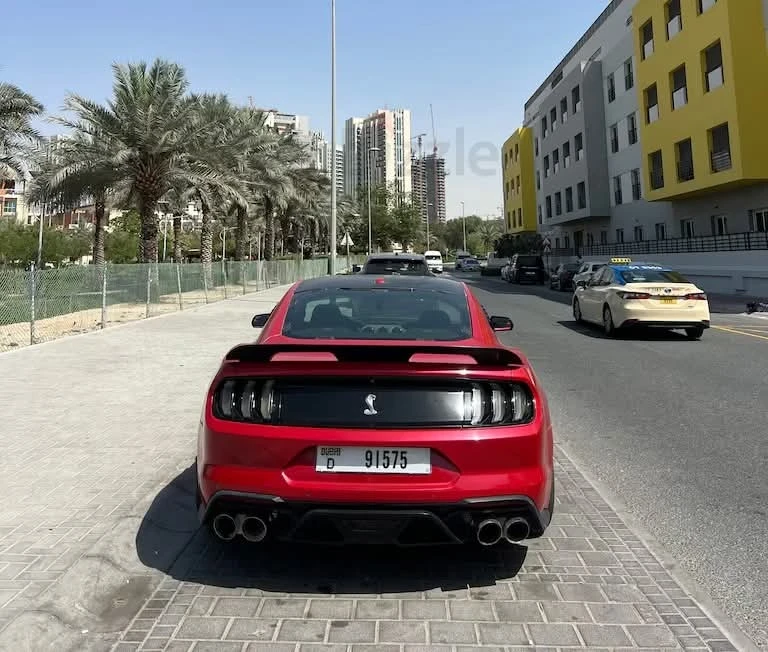 Ford Mustang GT 5.0 V8 | Shelby Body Kit - изображение 6