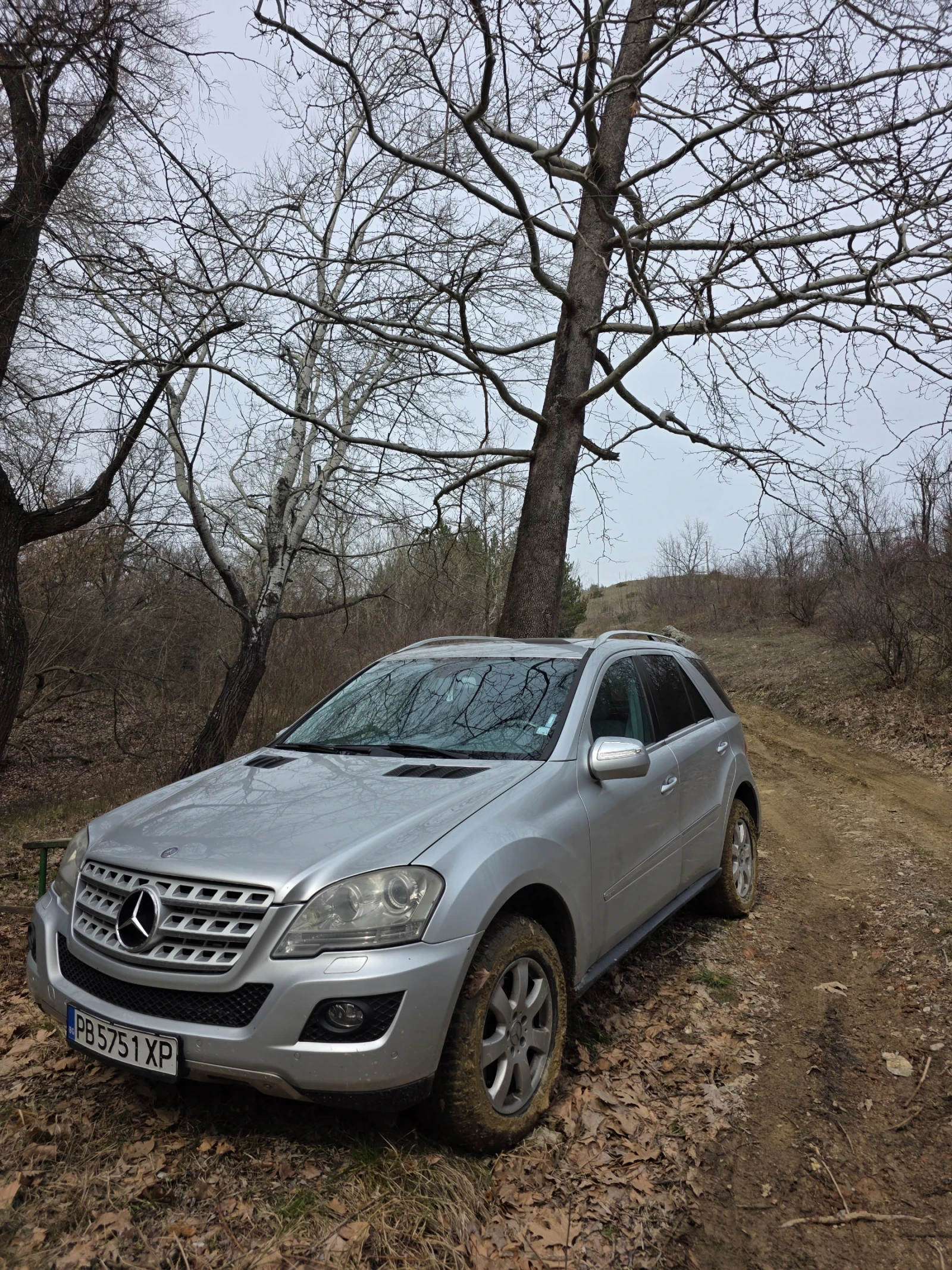 Mercedes-Benz ML 320 4matic, снимка 2 - Автомобили и джипове - 54331671
