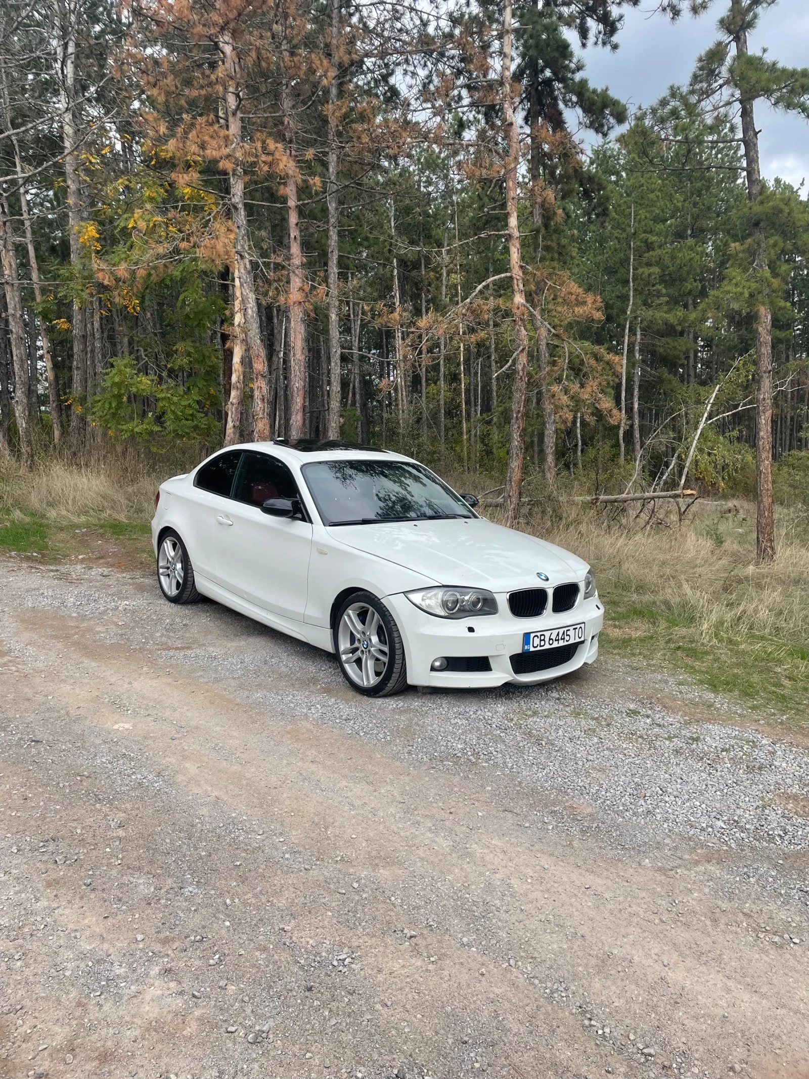 BMW 123 123d | Mobile.bg   8