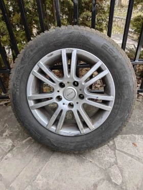 Гуми с джанти Autogrip 195/65R15, снимка 1 - Гуми и джанти - 49152835