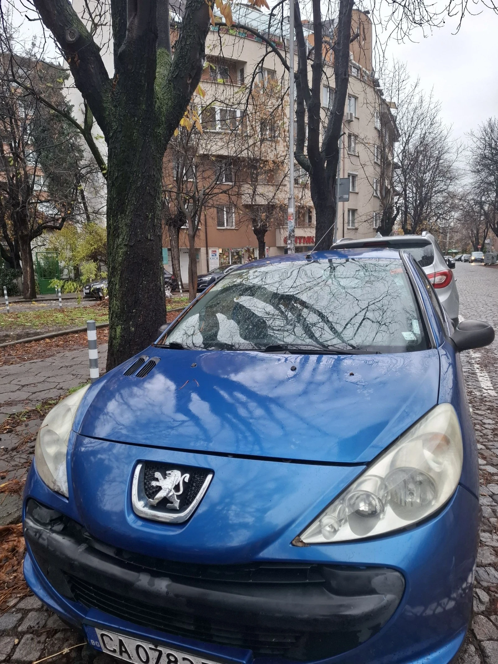 Peugeot 206 Plus - изображение 5