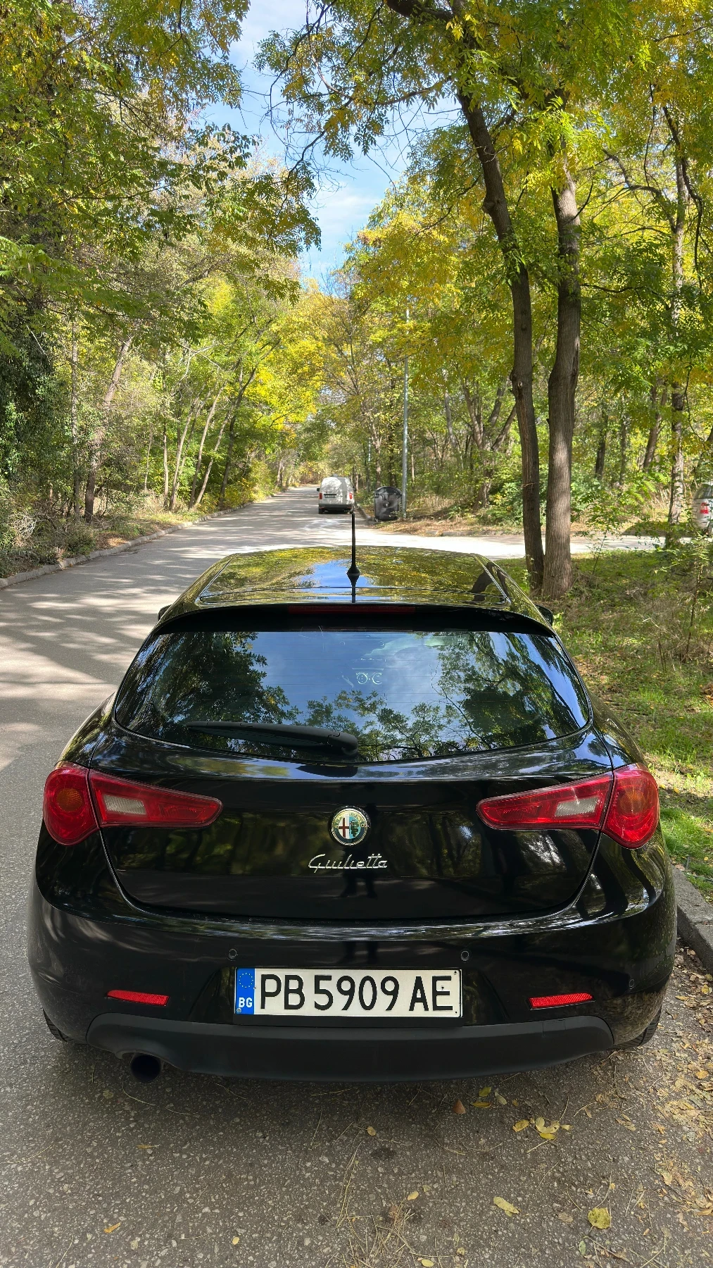 Alfa Romeo Giulietta 1.4 ������/��� 120 ���� | Mobile.bg � ����������� 9