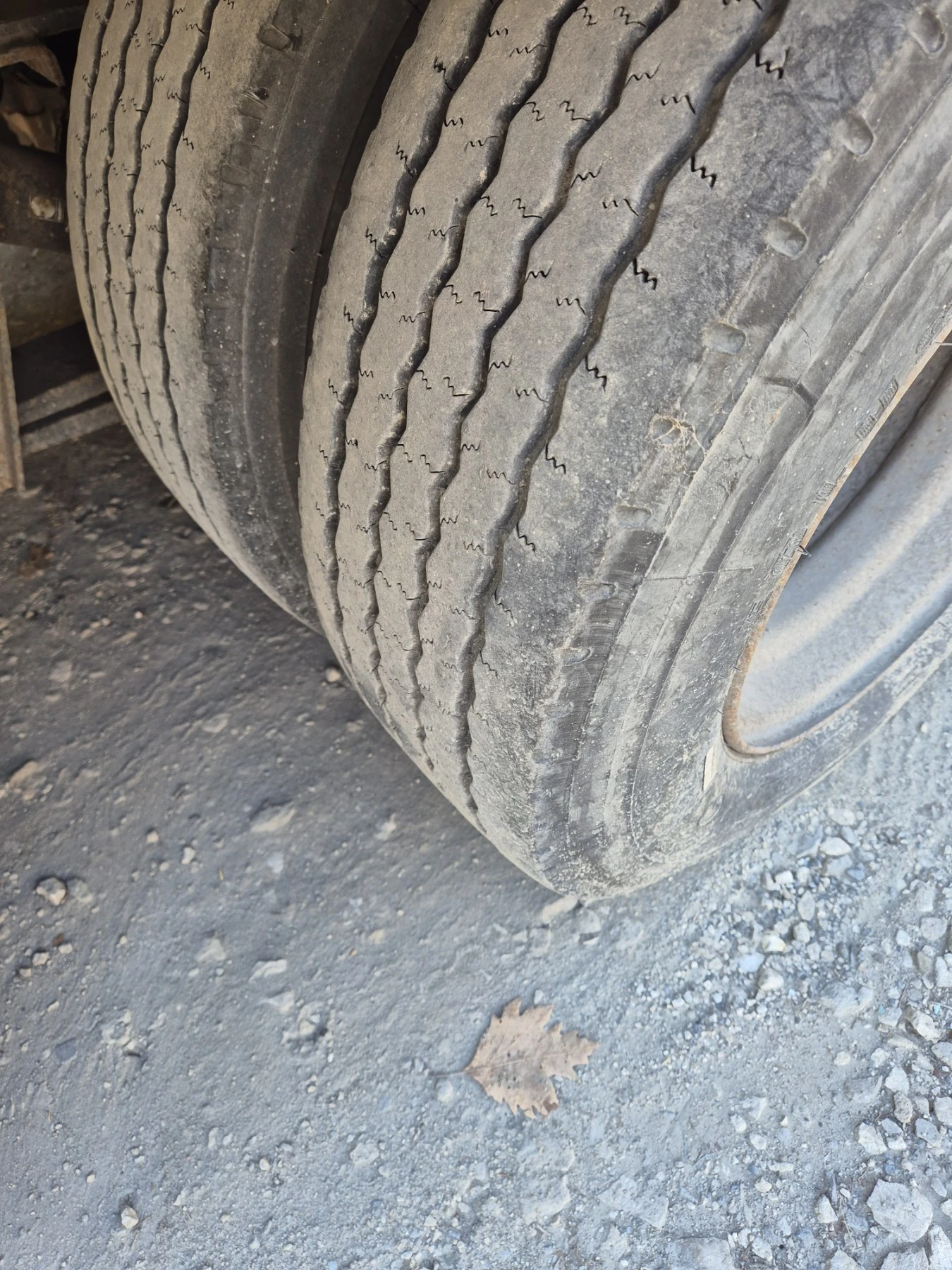 Man Tgx | Mobile.bg � ����������� 11