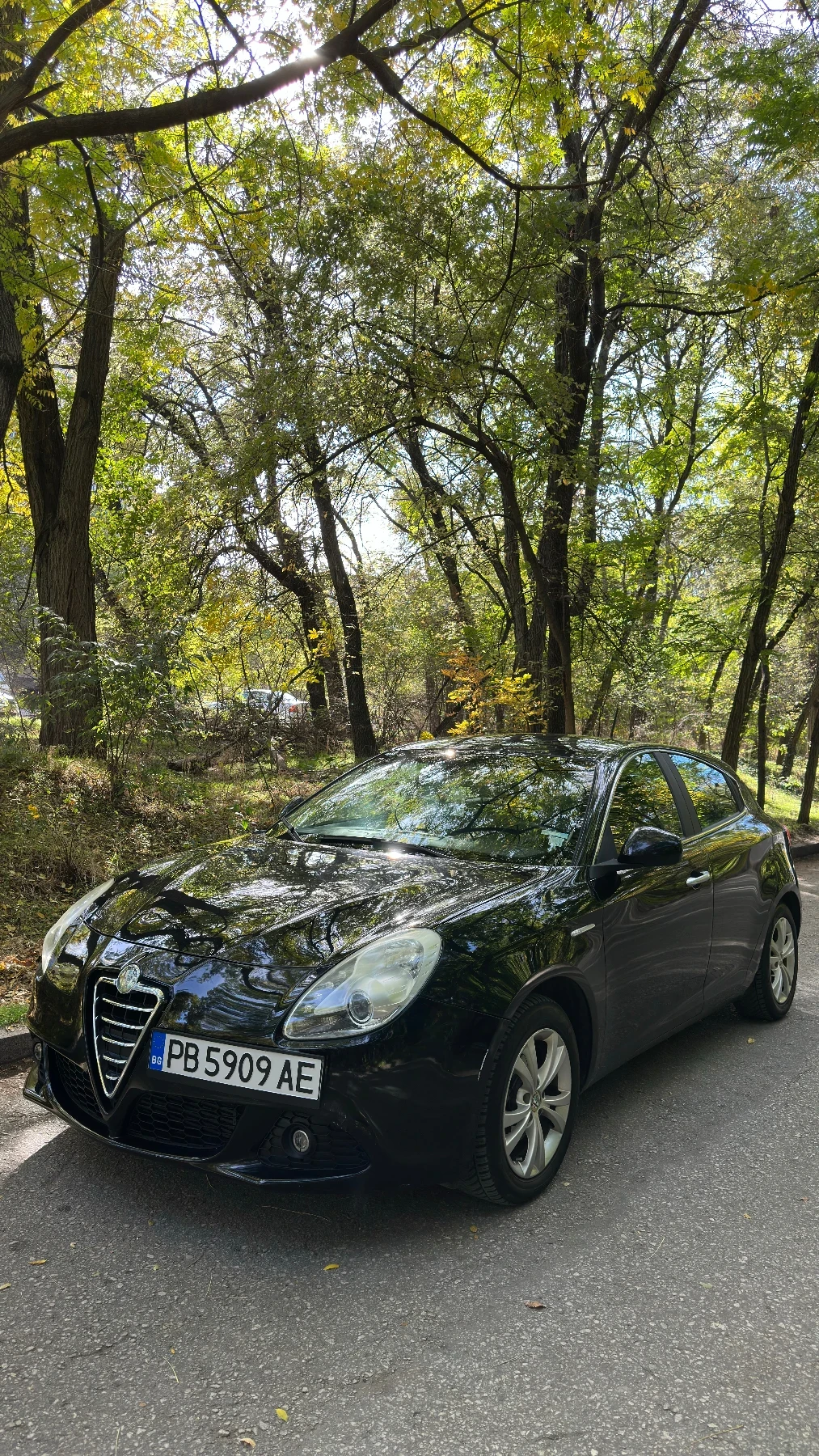 Alfa Romeo Giulietta 1.4 120 коня Бензин/Газ - изображение 4