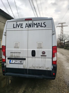 Fiat Ducato 2.3 JTD, 120к.с., снимка 10 - Бусове и автобуси - 53375778