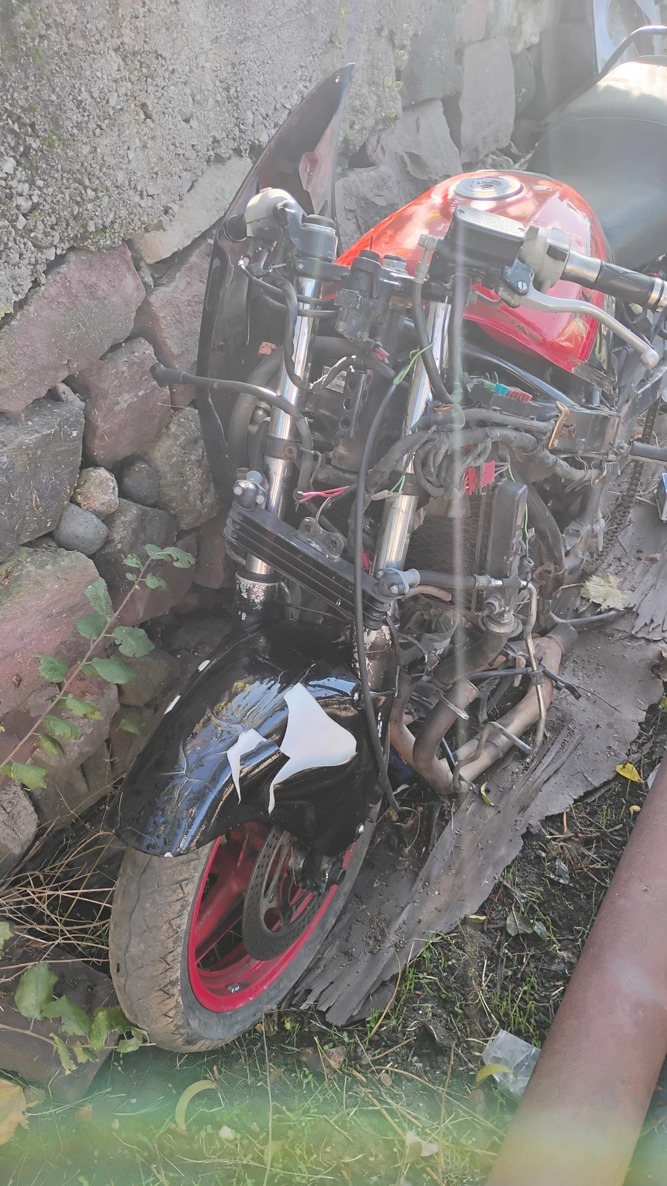 Honda Cbr  - изображение 4